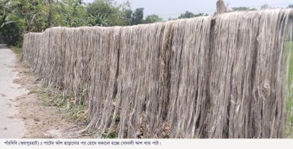 পাঁচবিবিতে পাটের দামে স্বস্তি, লাভের মুখ দেখছেন কৃষক
